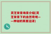 灵芝背景场景介绍(灵芝背景下的自然奇观——神秘的草原沼泽)