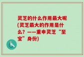 灵芝的什么作用最大呢(灵芝最大的作用是什么？——重申灵芝“至宝”身份)
