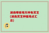湖南哪些地方种有灵芝(湖南灵芝种植地点汇总)