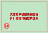 灵芝孢子破壁粉破壁图片？破壳和破壁的区别