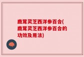 鹿茸灵芝西洋参百合(鹿茸灵芝西洋参百合的功效及用法)