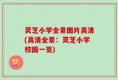 灵芝小学全景图片高清(高清全景：灵芝小学校园一览)
