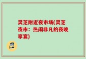灵芝附近夜市场(灵芝夜市：热闹非凡的夜晚享宴)