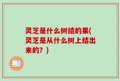 灵芝是什么树结的果(灵芝是从什么树上结出来的？)