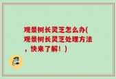观景树长灵芝怎么办(观景树长灵芝处理方法，快来了解！)