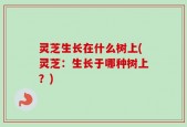 灵芝生长在什么树上(灵芝：生长于哪种树上？)