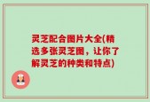 灵芝配合图片大全(精选多张灵芝图，让你了解灵芝的种类和特点)