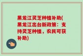 黑龙江灵芝种植补助(黑龙江出台新政策：支持灵芝种植，农民可获补助)