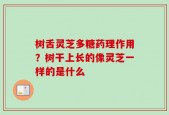 树舌灵芝多糖药理作用？树干上长的像灵芝一样的是什么