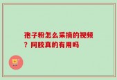 孢子粉怎么采摘的视频？阿胶真的有用吗