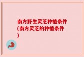 南方野生灵芝种植条件(南方灵芝的种植条件)