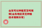 山东可以种植灵芝吗视频(山东地区灵芝种植技术视频分享)