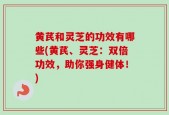 黄芪和灵芝的功效有哪些(黄芪、灵芝：双倍功效，助你强身健体！)