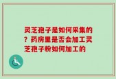 灵芝孢子是如何采集的？药房里是否会加工灵芝孢子粉如何加工的
