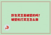 野生灵芝是破壁的吗？破壁机打灵芝怎么做
