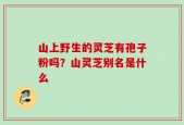 山上野生的灵芝有孢子粉吗？山灵芝别名是什么