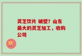灵芝饮片 破壁？山东最大的灵芝加工，收购公司