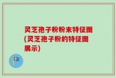 灵芝孢子粉粉末特征图(灵芝孢子粉的特征图展示)