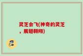 灵芝会飞(神奇的灵芝，展翅翱翔)