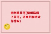 柳州路灵芝(柳州路遇上灵芝，这里的秘密让你惊叹)