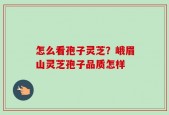 怎么看孢子灵芝？峨眉山灵芝孢子品质怎样