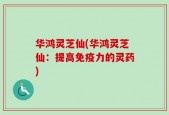 华鸿灵芝仙(华鸿灵芝仙：提高免疫力的灵药)
