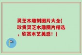 灵芝木雕刻图片大全(珍贵灵芝木雕图片精选，欣赏木艺美感！)
