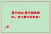 灵芝烧料(灵芝制成烧料，可代替传统能源！)