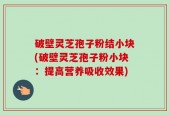 破壁灵芝孢子粉结小块(破壁灵芝孢子粉小块：提高营养吸收效果)