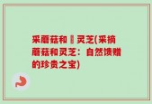 采蘑菇和採灵芝(采摘蘑菇和灵芝：自然馈赠的珍贵之宝)