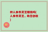 种人参养灵芝赚钱吗(人参养灵芝，助您创收)