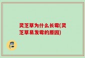 灵芝草为什么长霉(灵芝草易发霉的原因)