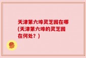 天津第六埠灵芝园在哪(天津第六埠的灵芝园在何处？)
