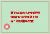 灵芝幼苗怎么种的视频讲解(如何种植灵芝幼苗？视频指导教程