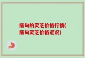 缅甸的灵芝价格行情(缅甸灵芝价格近况)