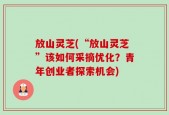 放山灵芝(“放山灵芝”该如何采摘优化？青年创业者探索机会)