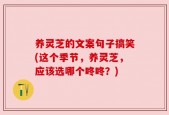 养灵芝的文案句子搞笑(这个季节，养灵芝，应该选哪个咚咚？)