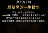灵芝孢子粉价格是多少？带你购买物美价廉好产品