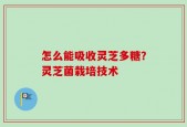 怎么能吸收灵芝多糖？灵芝菌栽培技术