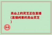 高山上的灵芝正在直播(直播间里的高山灵芝)