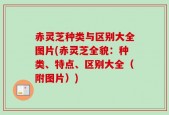 赤灵芝种类与区别大全图片(赤灵芝全貌：种类、特点、区别大全（附图片）)