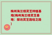 梅州海兰楼灵芝种植基地(梅州海兰楼灵芝基地：探访灵芝栽培之路)