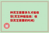 种灵芝需要多久才能收获(灵芝种植指南：收获灵芝需要的时间)