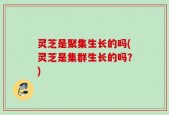 灵芝是聚集生长的吗(灵芝是集群生长的吗？)