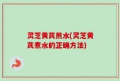 灵芝黄芪煎水(灵芝黄芪煮水的正确方法)