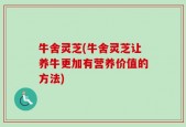 牛舍灵芝(牛舍灵芝让养牛更加有营养价值的方法)