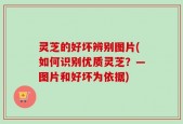 灵芝的好坏辨别图片(如何识别优质灵芝？—图片和好坏为依据)