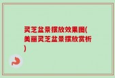 灵芝盆景摆放效果图(美丽灵芝盆景摆放赏析)