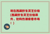现在西藏野生灵芝价格(西藏野生灵芝价格飙升，抢购热潮席卷市场！)