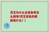 灵芝为什么会变色呢怎么回事(灵芝变色的原因是什么？)